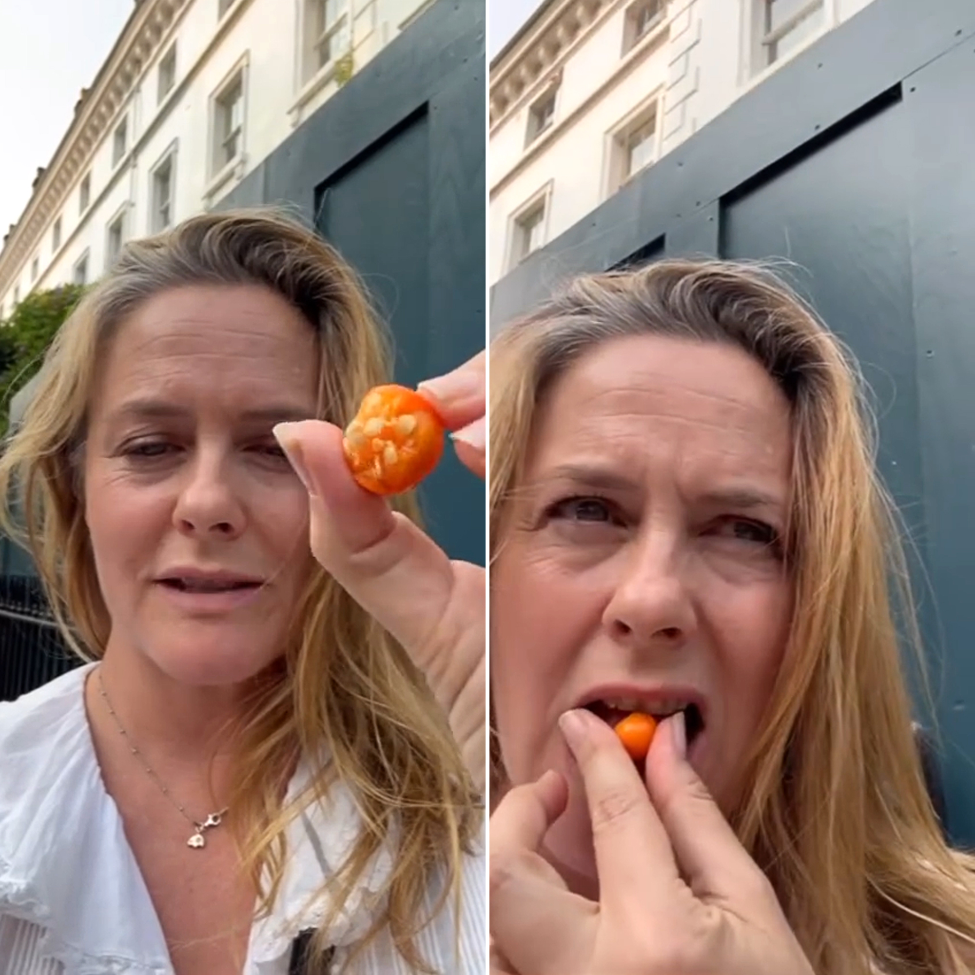 Alicia Silverstone causa preocupação depois de comer frutas potencialmente mortais