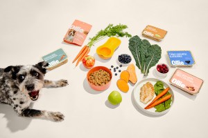 Treat Your Pup (and Yourself) With These Premium, Human-Grade Meals