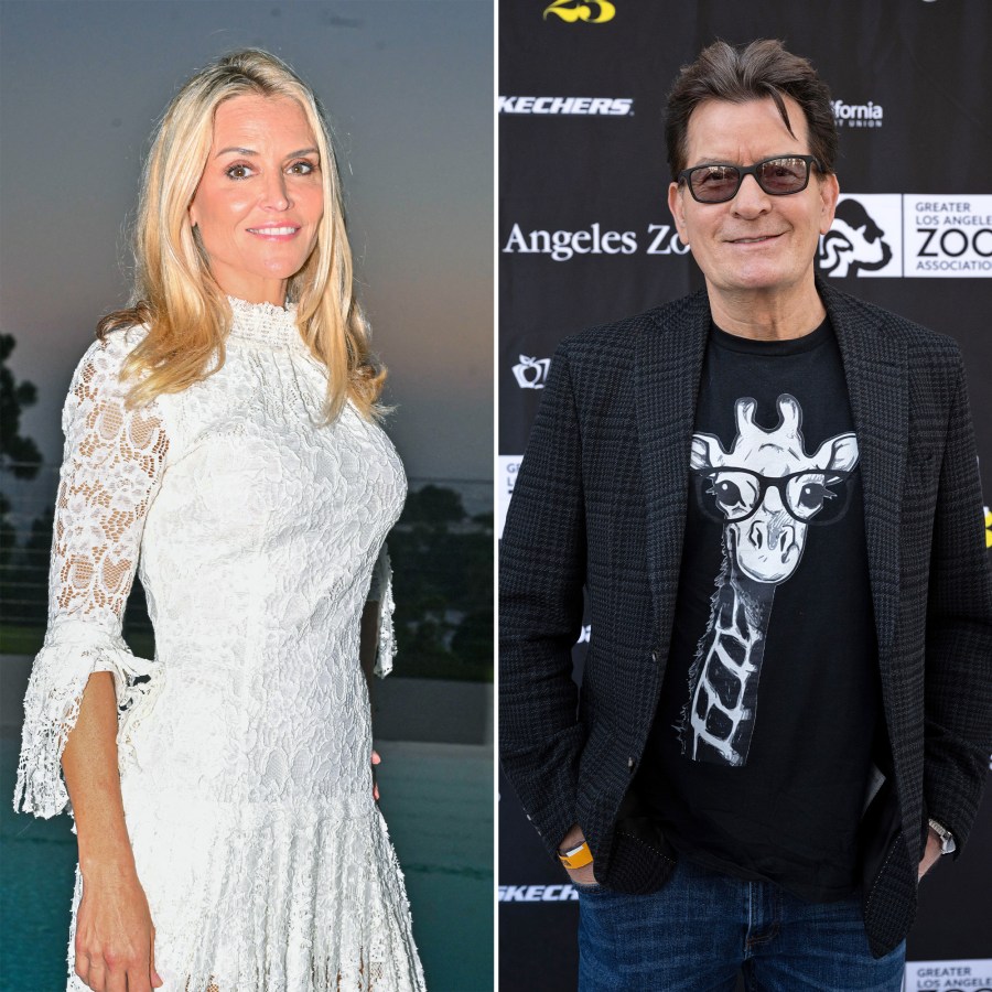 Brooke Mueller Gives Update on Coparenting With Charlie Sheen