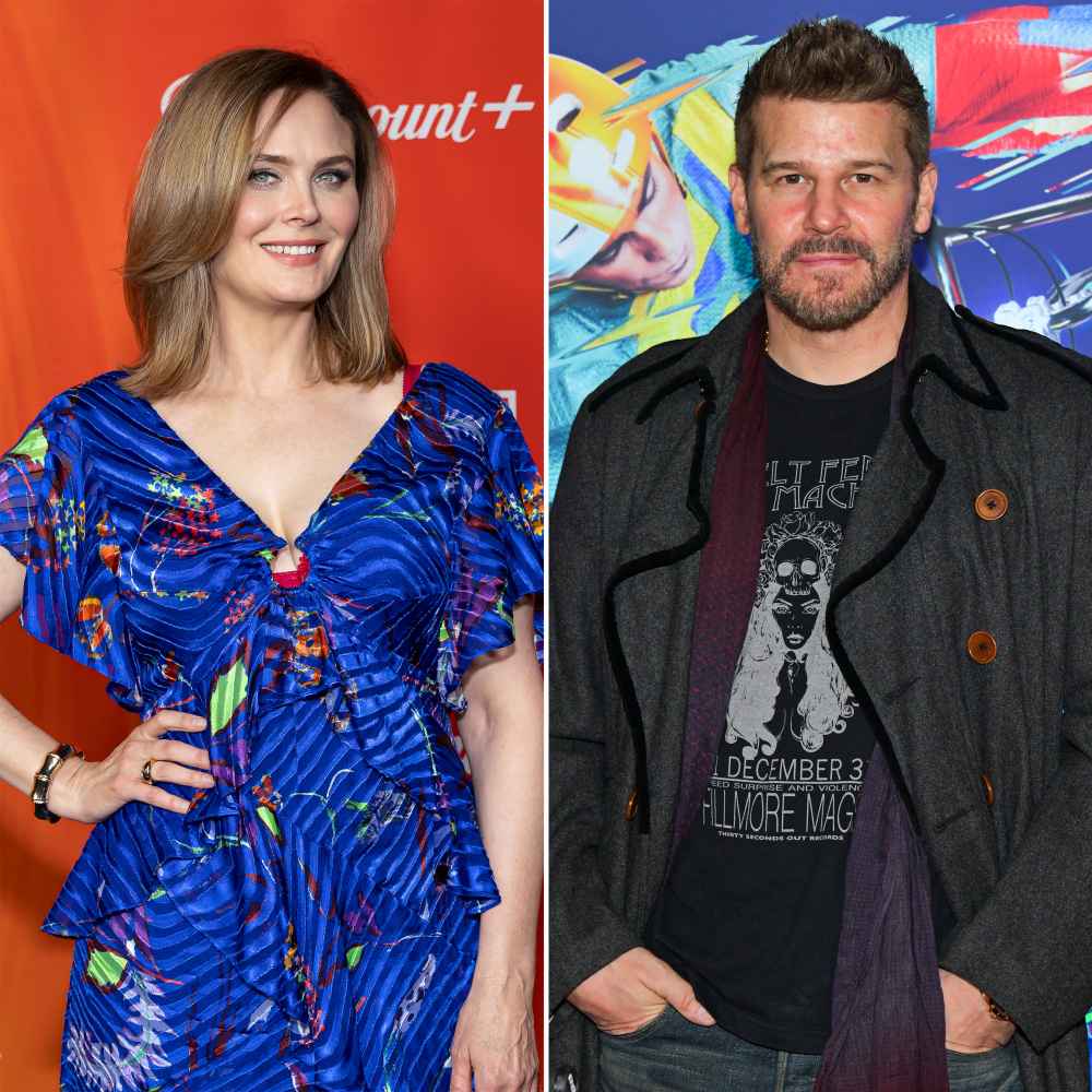 Emily Deschanel sorprendió que David Boreanaz esté interesado en recuperar huesos