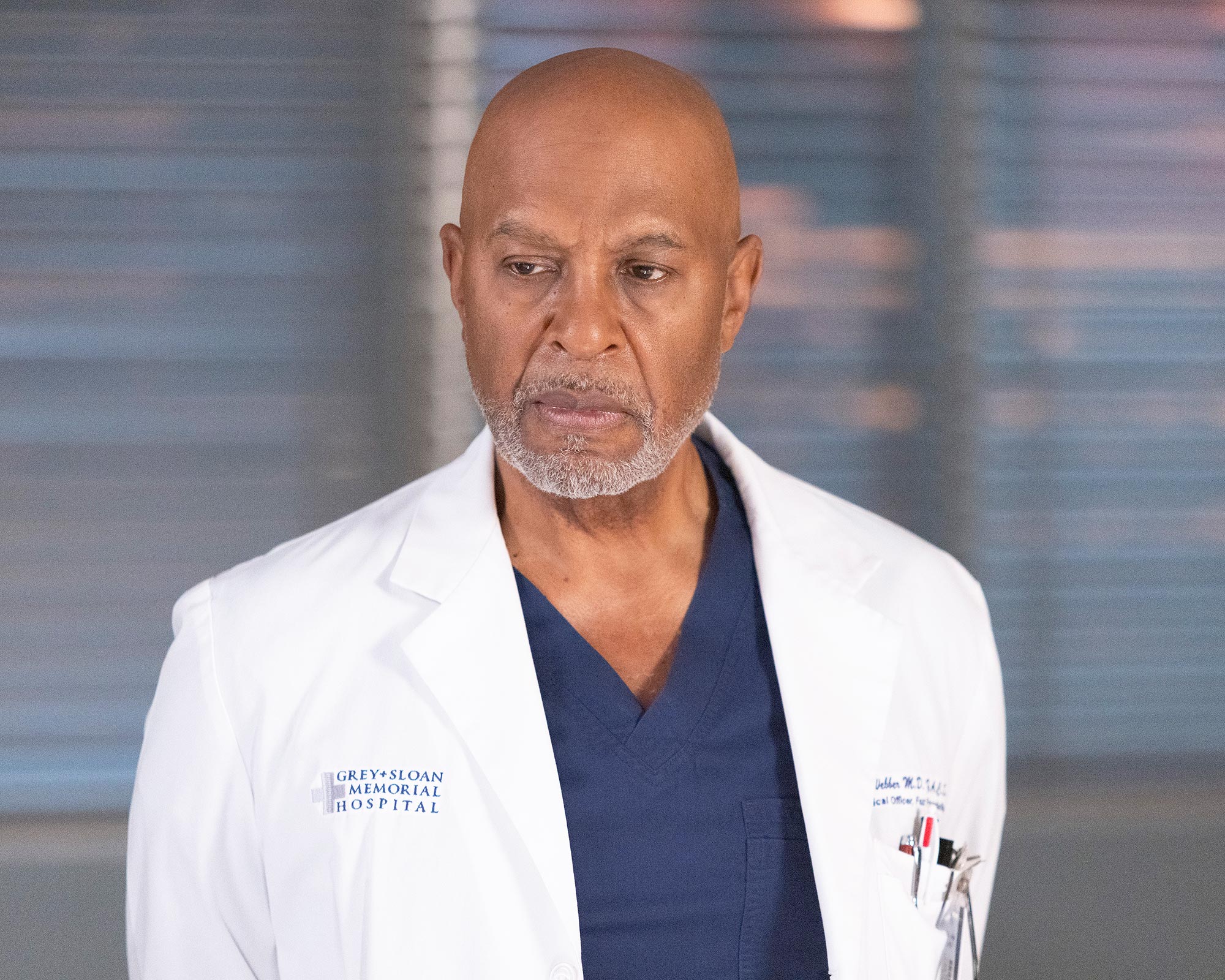 James Pickens de Grey's Anatomy se burla de 'Rocky Patch' para Catherine y Mer