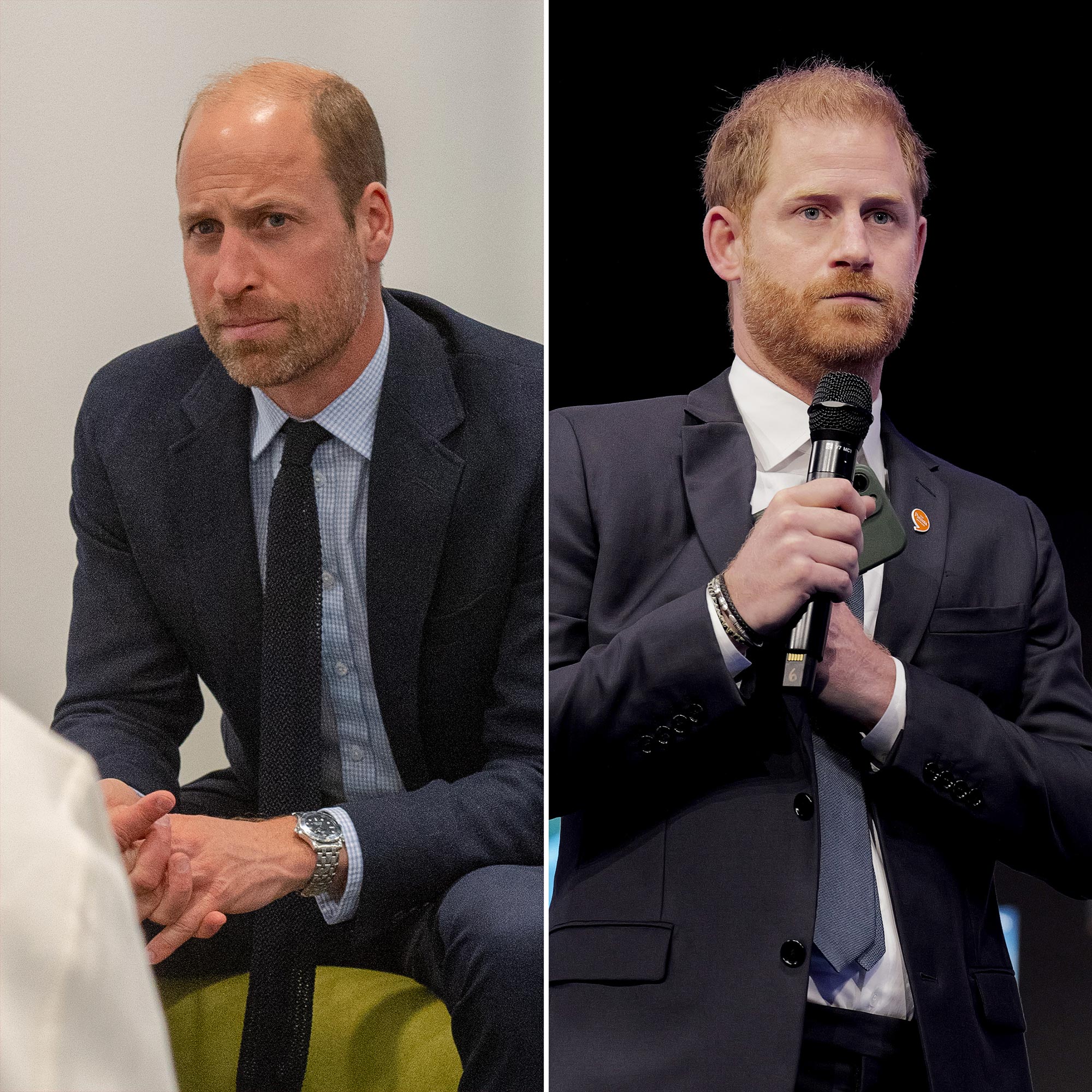 Prince William Speaks to UN Leaders Via Video After Harry's Appearance