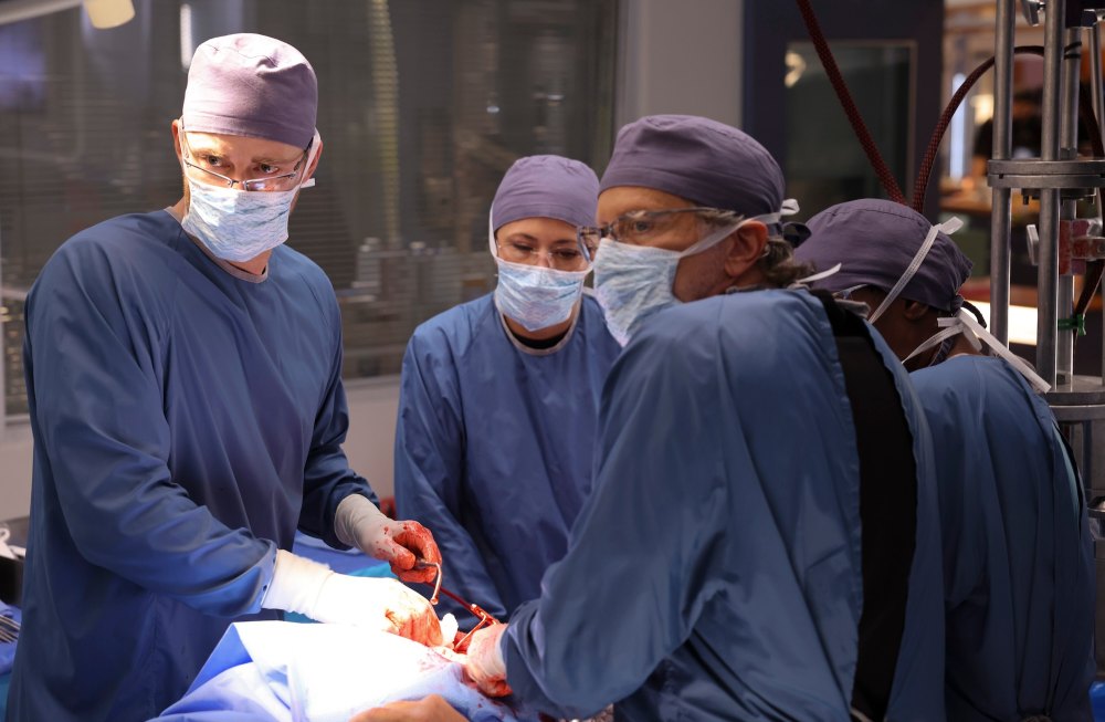 What Do Medical Dramas Use for Organs in Surgery Scenes?