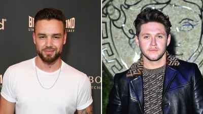 Liam Payne and Niall Horan friendship timeline