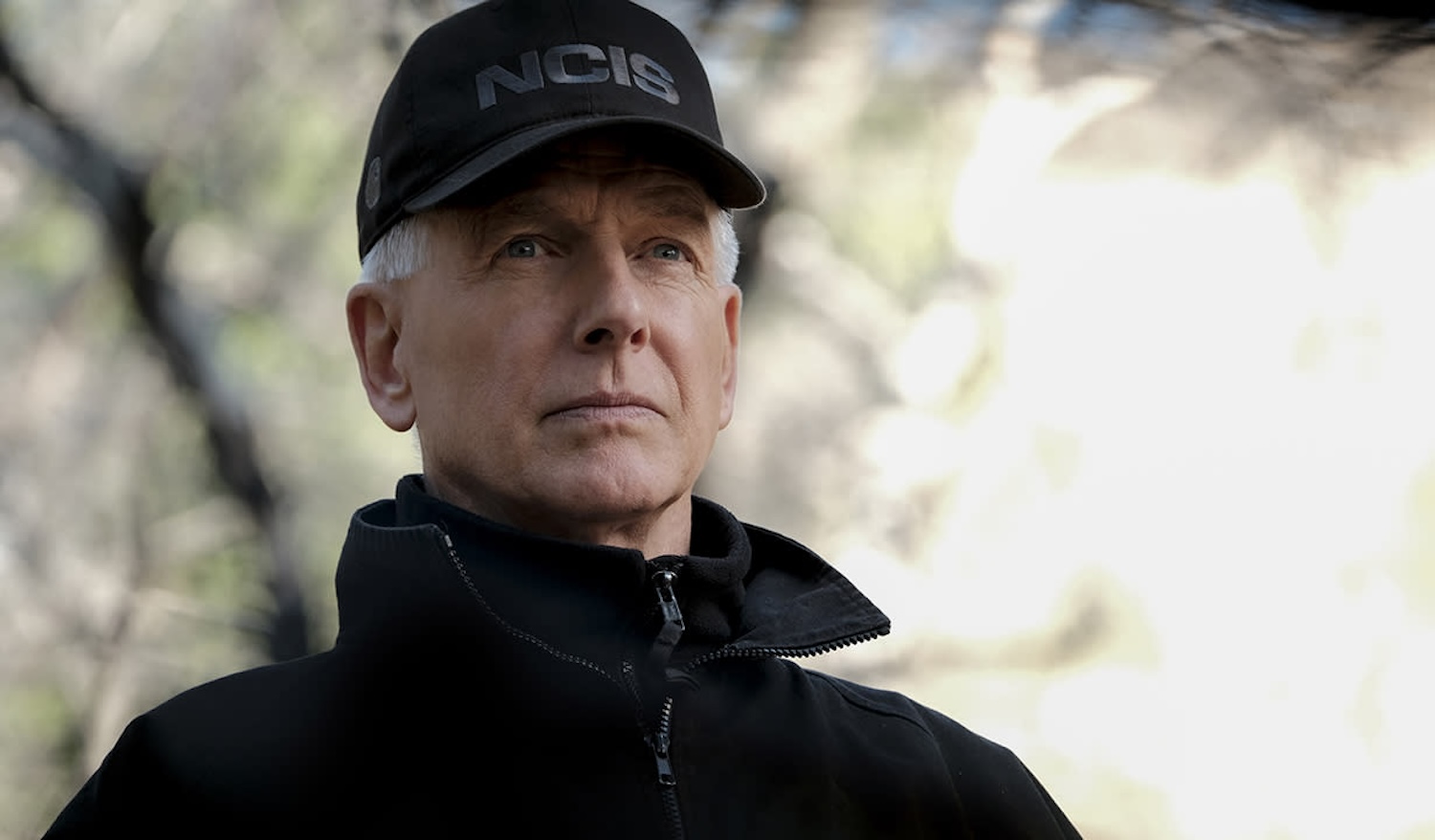 『NCIS』スターたちは番組に戻るか、戻らないことを認めた