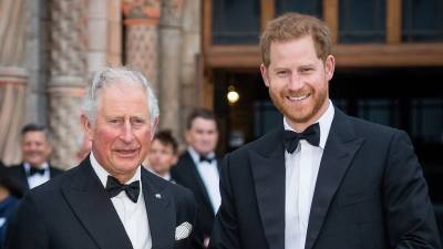 Prince Harry Officially Reunites With Father King Charles During UK Visit