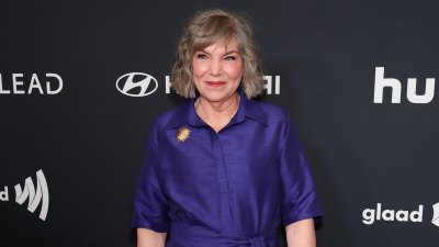 Inside Facts of Life Star Mindy Cohn Private World After Sharing Cancer Diagnosis