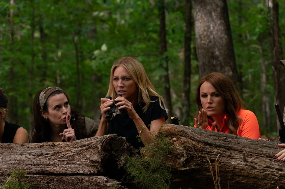 Anna Camp Weighs In on Possible Appearance on Pitch Perfect Costar Brittany Snows The Hunting Wives Netflix