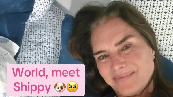 Brooke Shields Shows Gray Roots After Daughter Teased Her