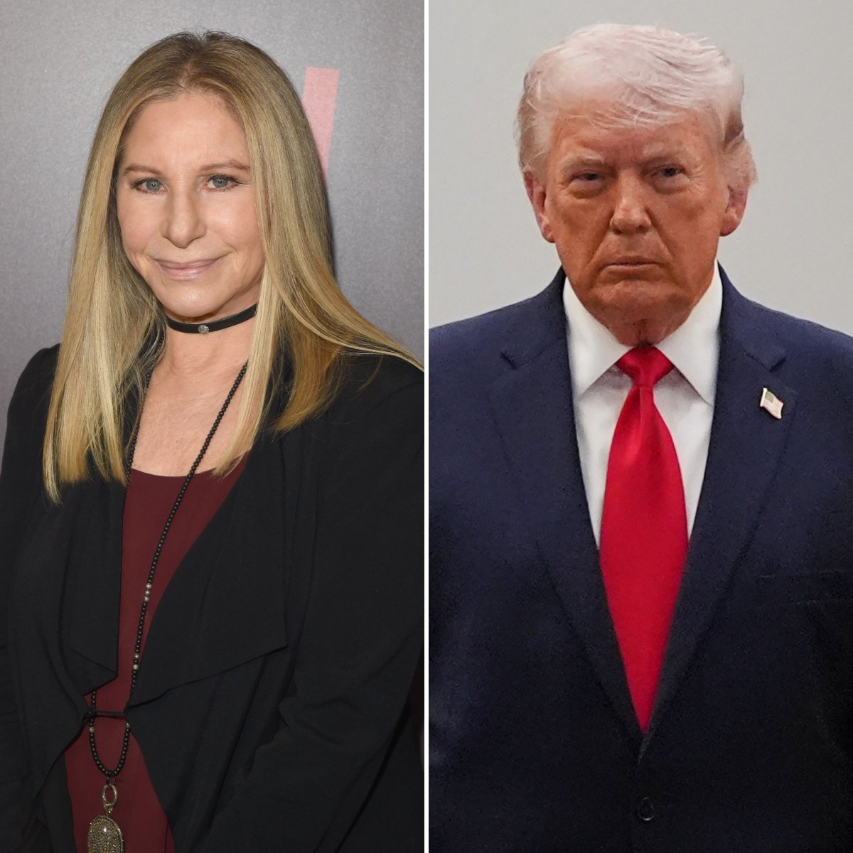 Barbra-Streisand-Slams-President-Donald-Trumps-Ego.jpg