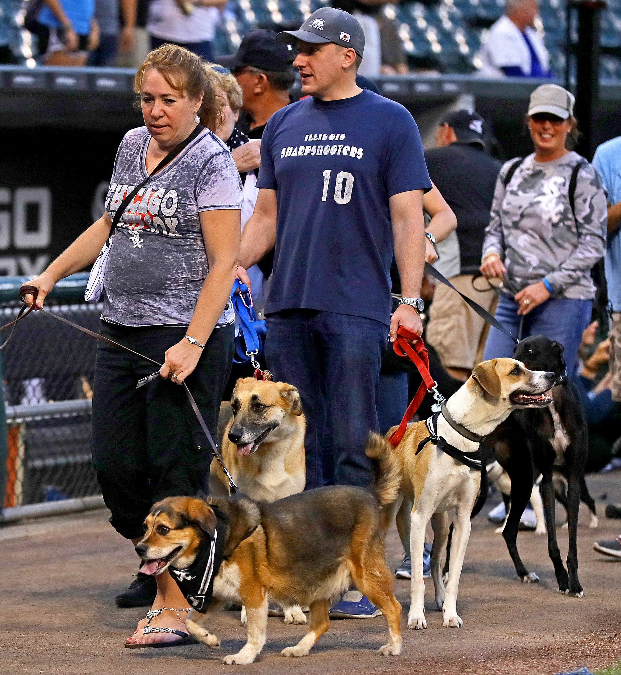 Chicago White Sox Break Most Dogs in Attendance World Record