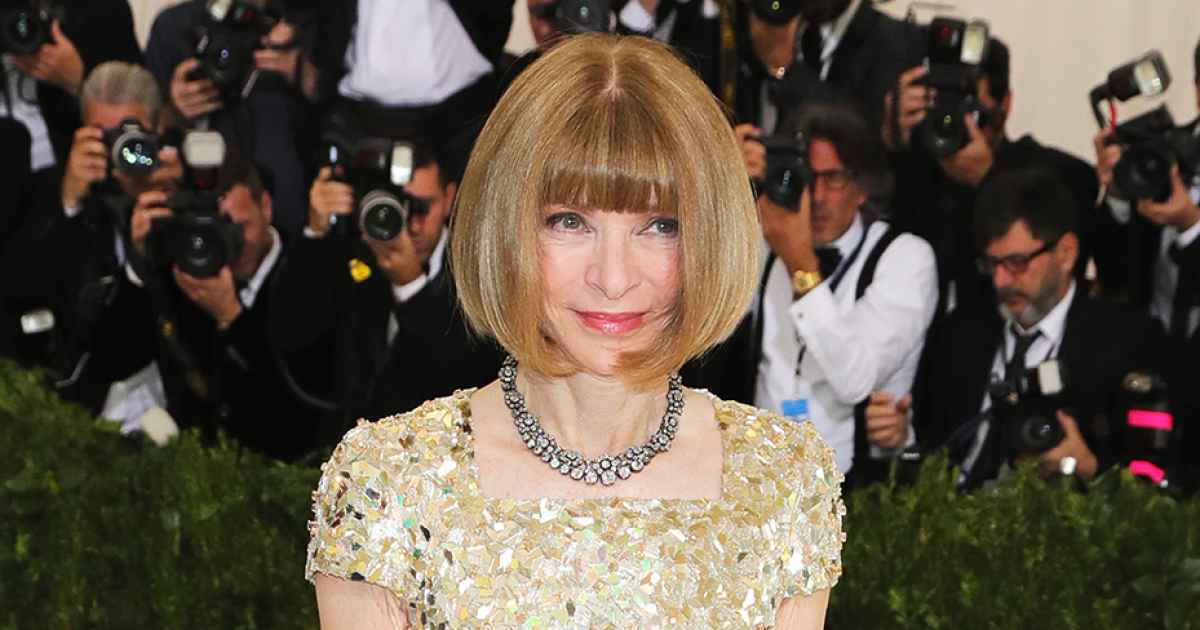 Anna Wintour, Bee Shaffer Dazzle at 2017 Met Gala: Pics | Us Weekly