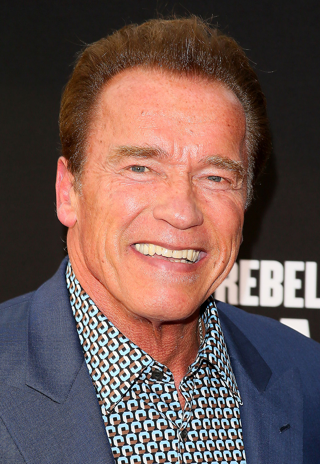 Arnold Schwarzenegger Pron - Celebs You Never Knew Had X-Rated Pasts