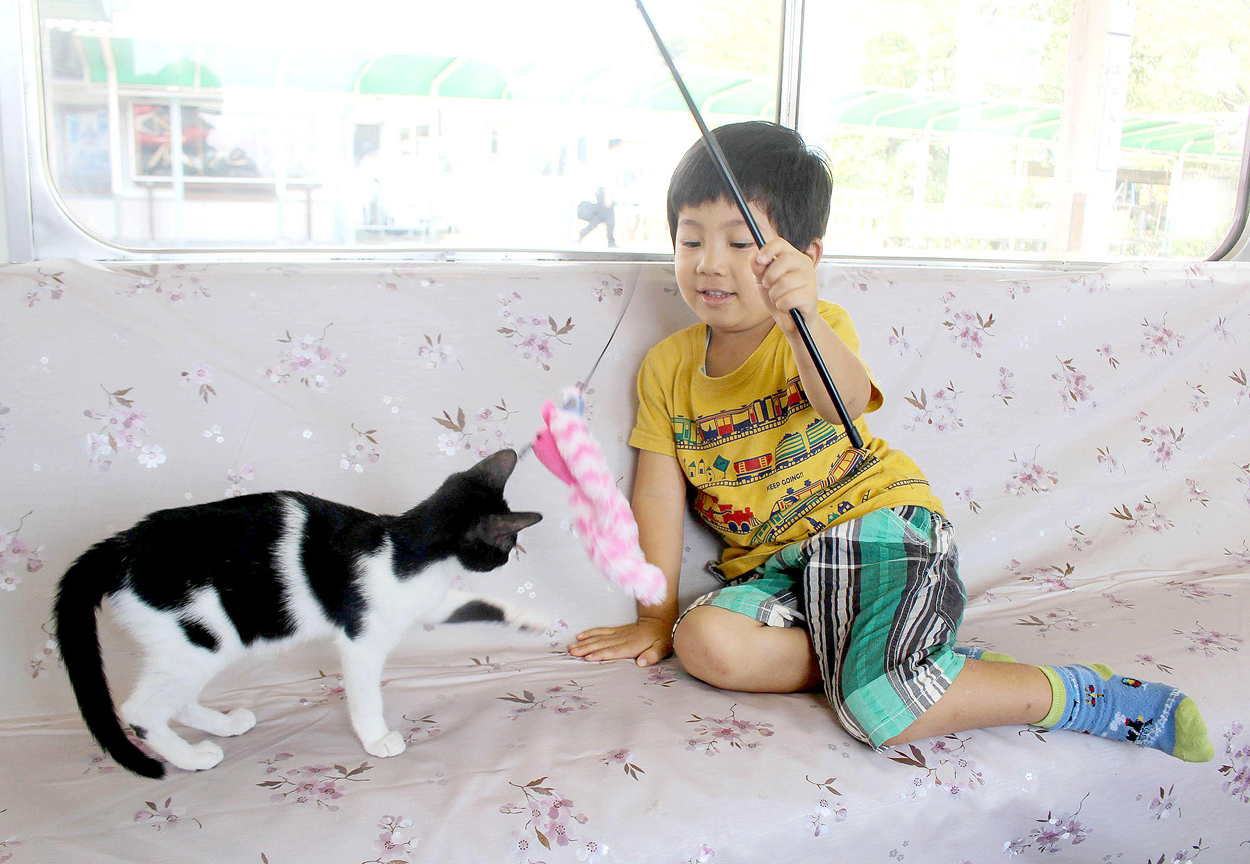 The World s First Cat  Cafe  Opens In Japan 