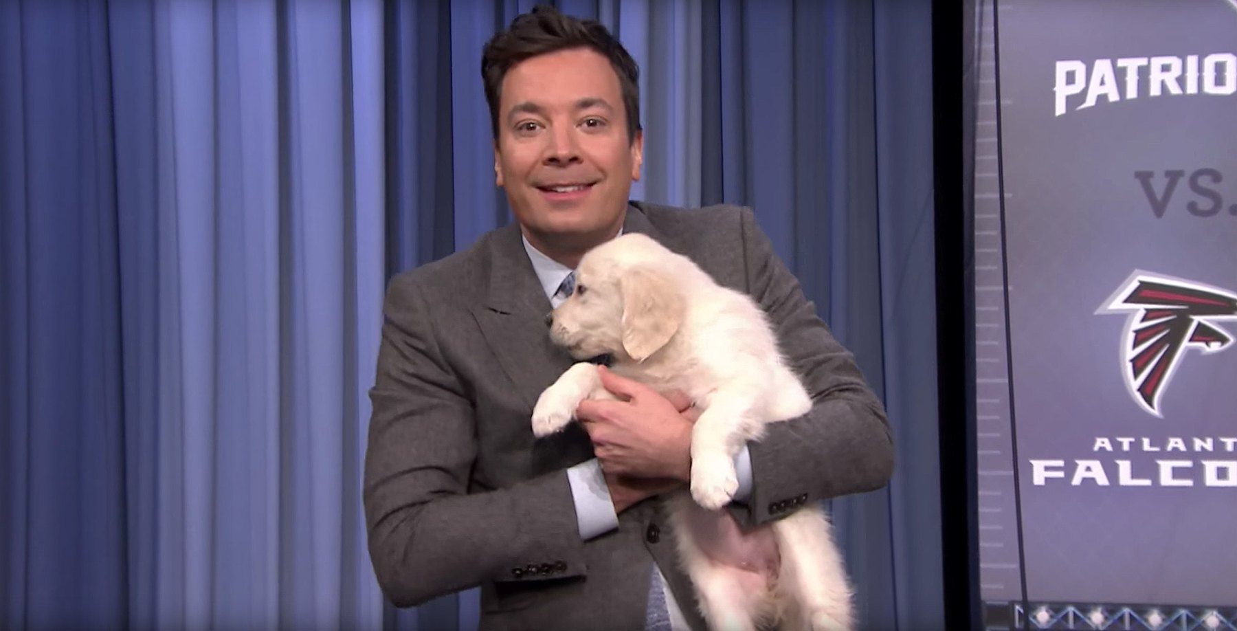 Jimmy Fallon's 'Tonight Show' Puppies Predict Super Bowl Winner Us Weekly