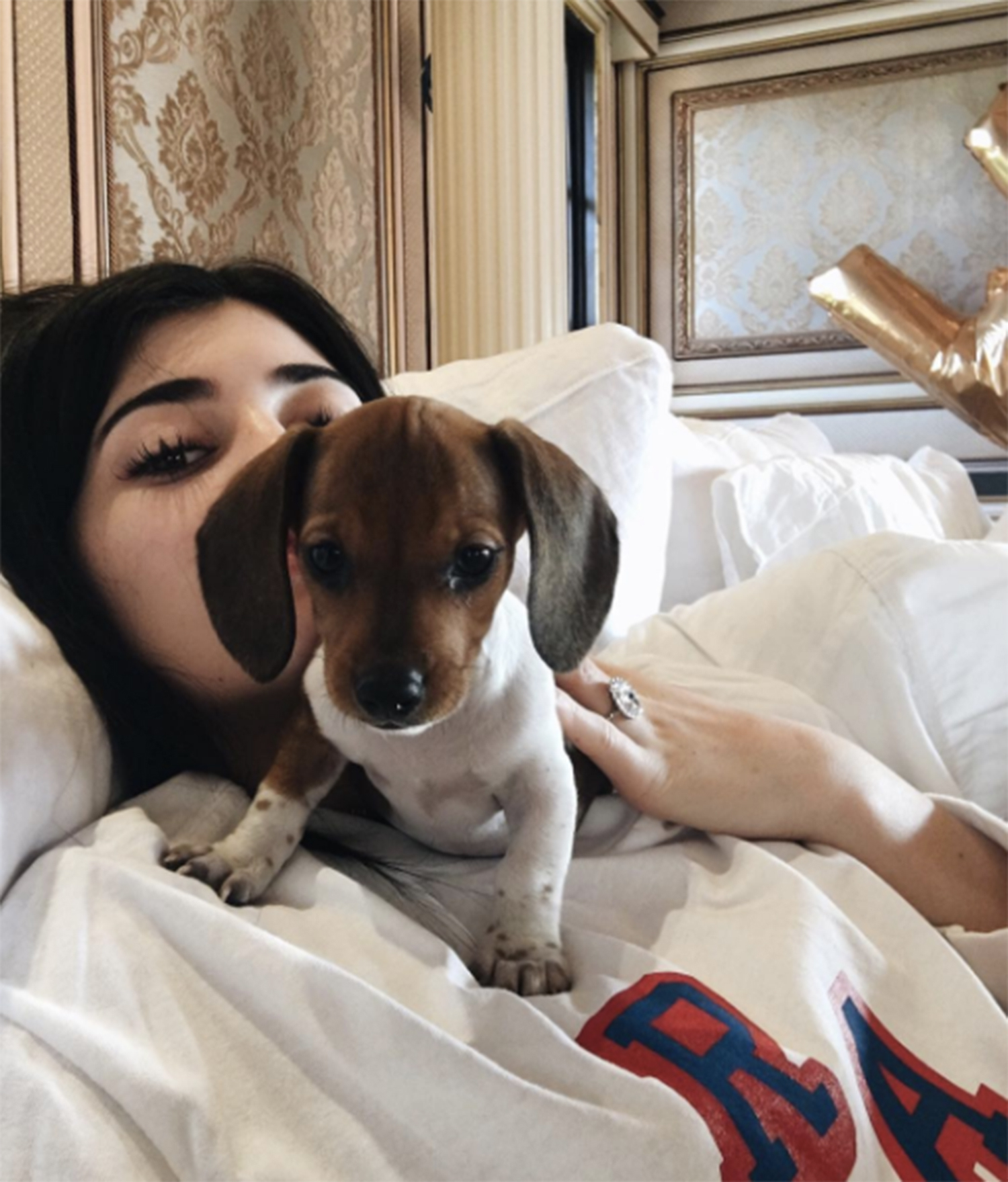 Keeping Up With the Kardashians’ Pets Kim Shares Full List