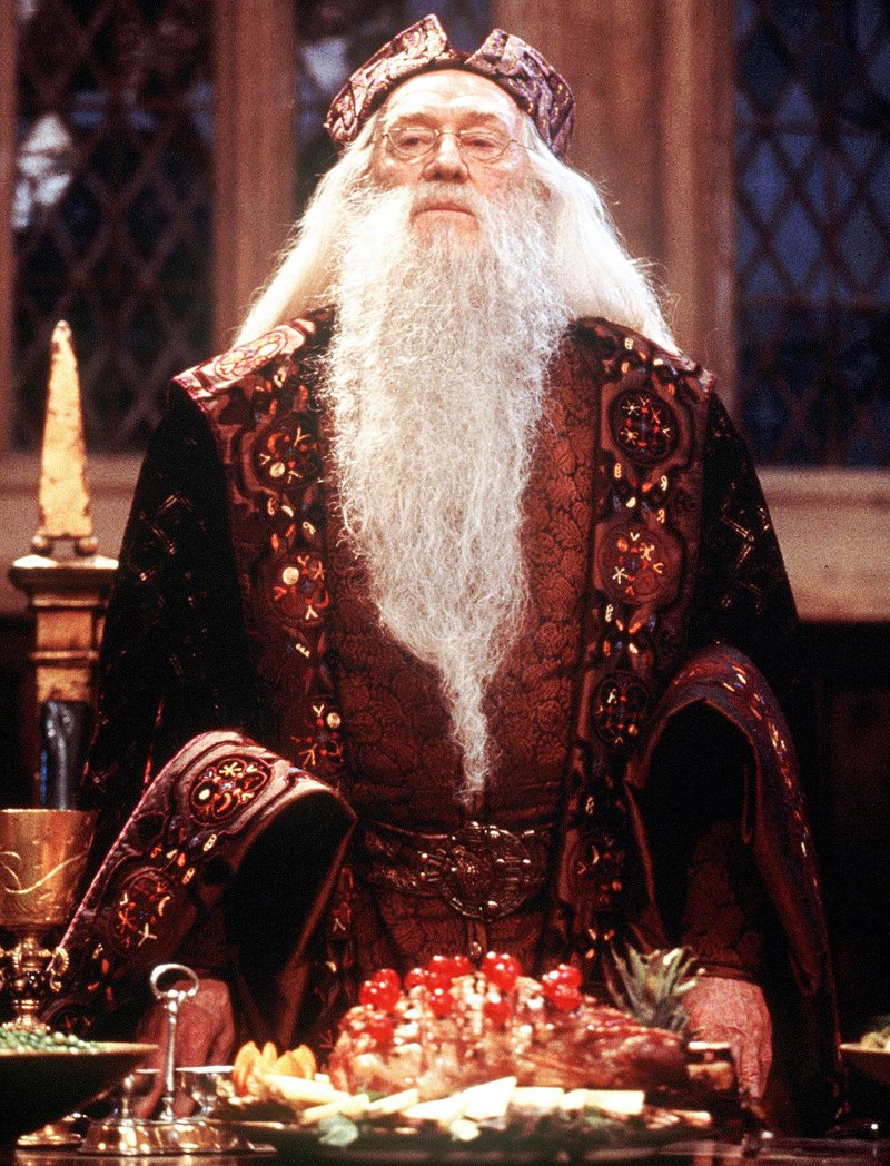 Why Ian Mckellen Passed On Harry Potter S Dumbledore