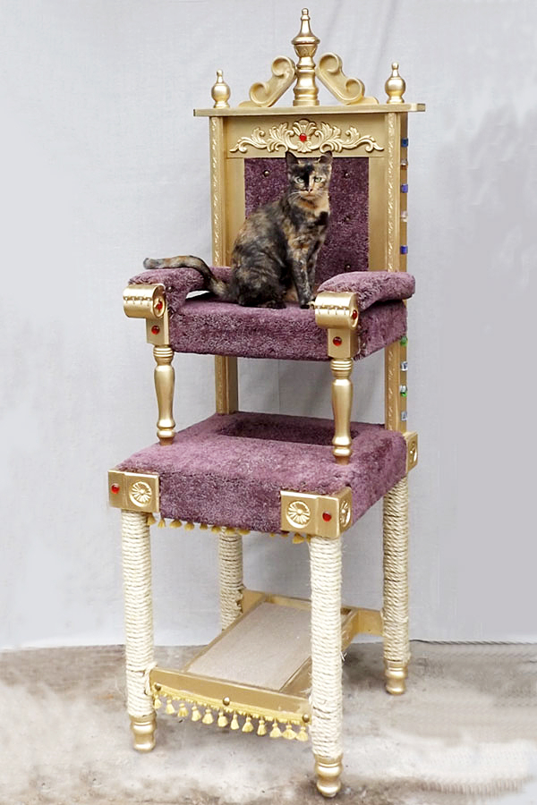 Outrageous Products to Spoil Your Cat Like the Princess She Is