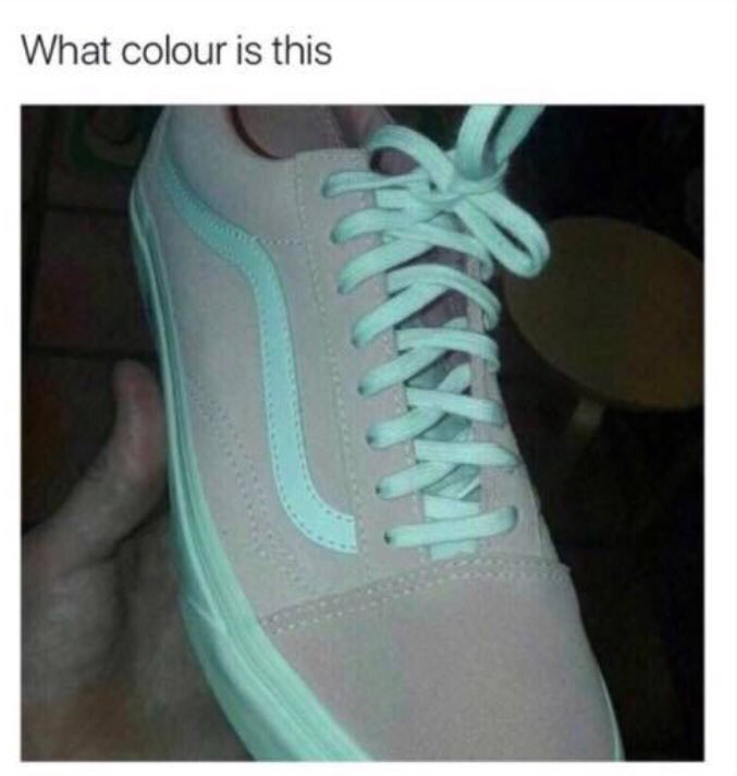 pink and white or blue and grey vans