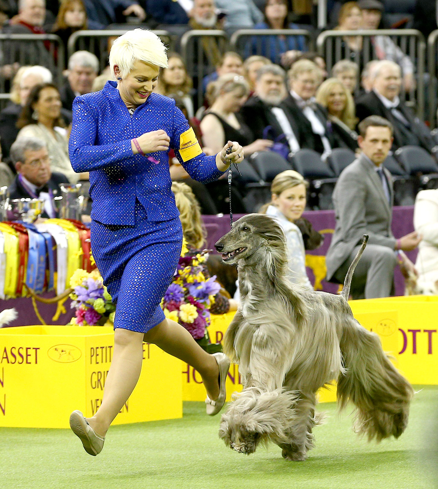 Westminster Dog Show Awards 'Best in Show' to Rumor the German Shepherd